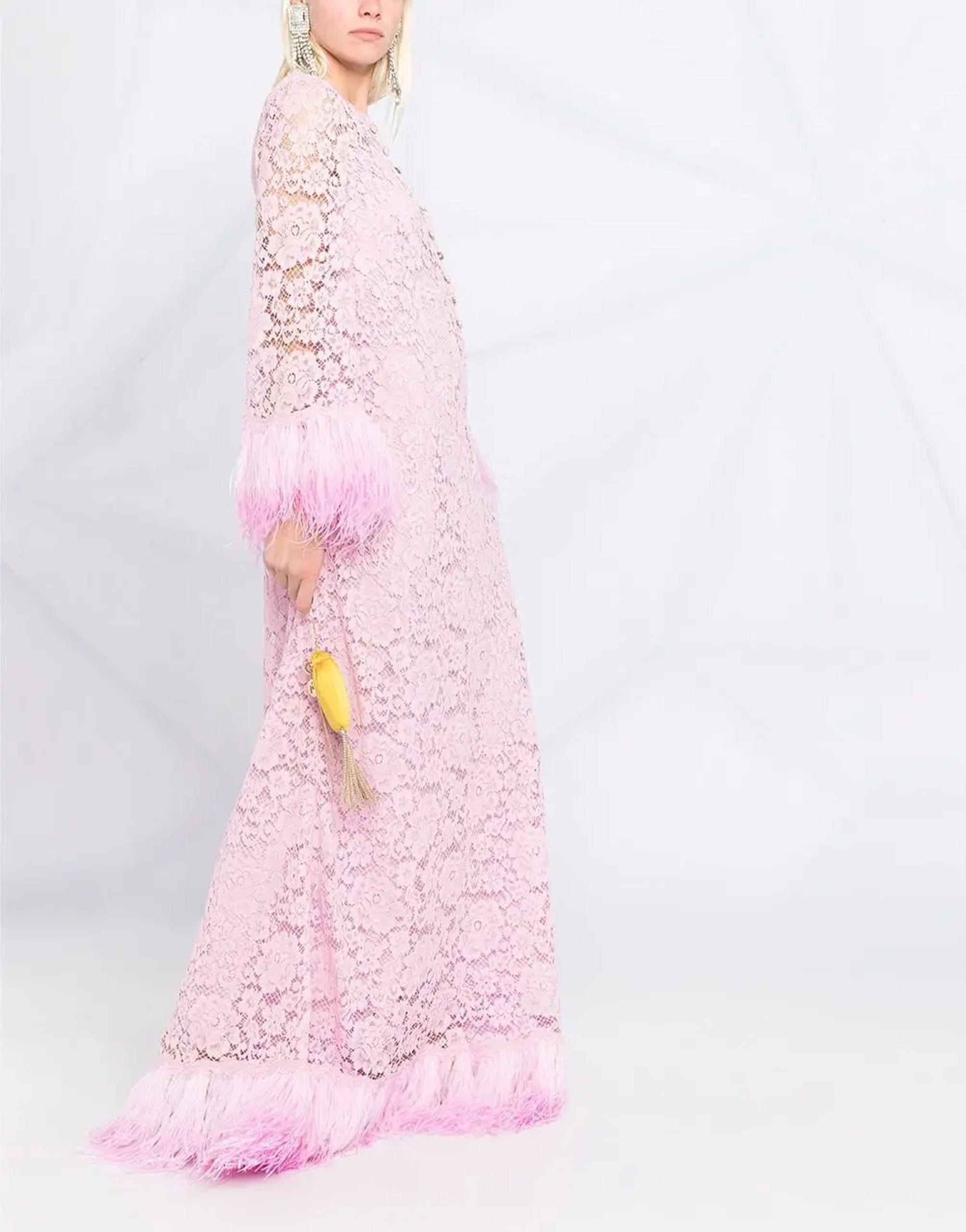 Dolce & Gabbana Embellished Lace Long Dress With Feathers