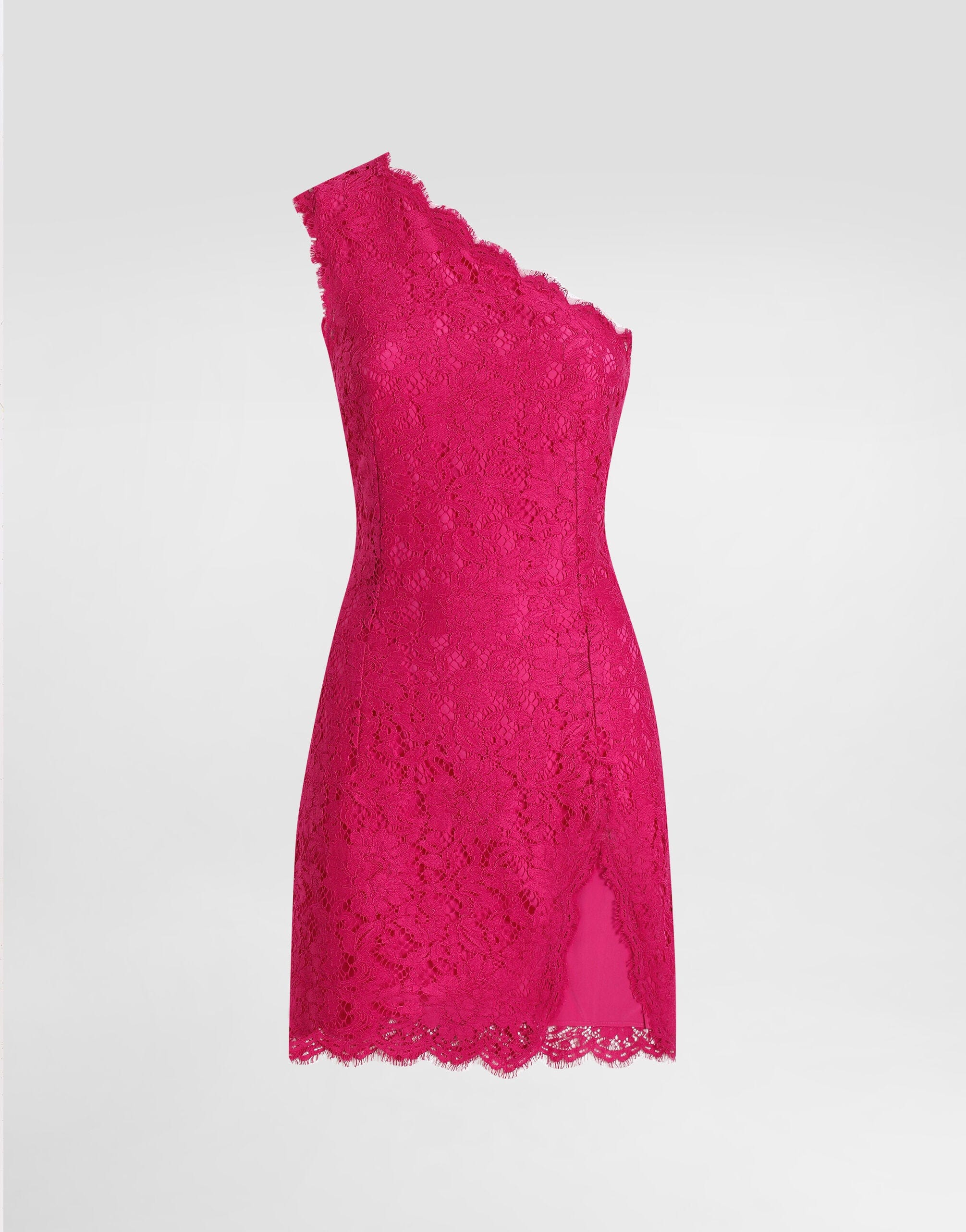 Dolce & Gabbana Floral Cordonetto Lace Minidress