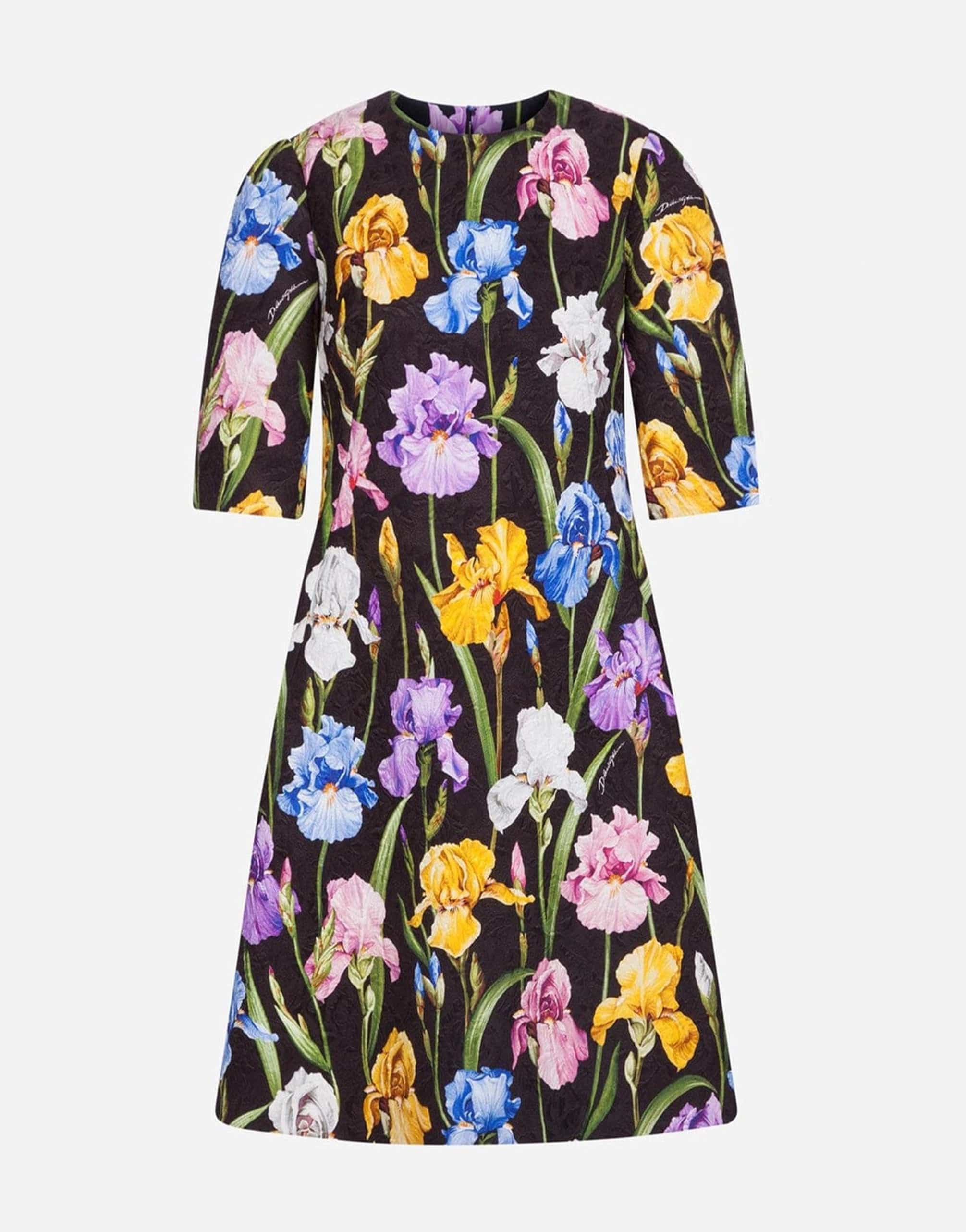Dolce & Gabbana Iris-Print A-Line Brocade Dress