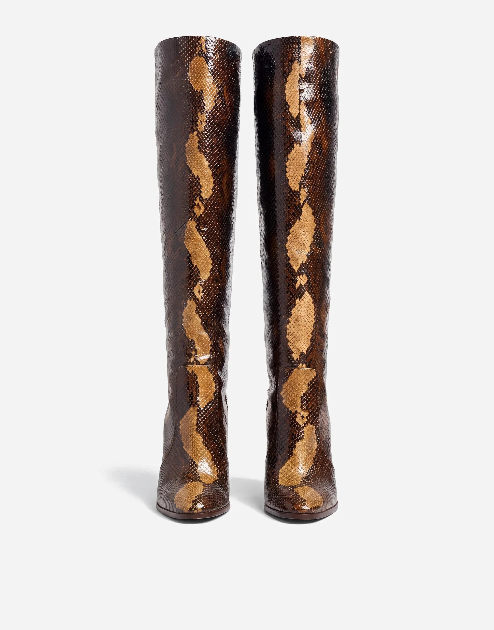 Dolce & Gabbana Dolce & Gabbana Knee High Python Boots