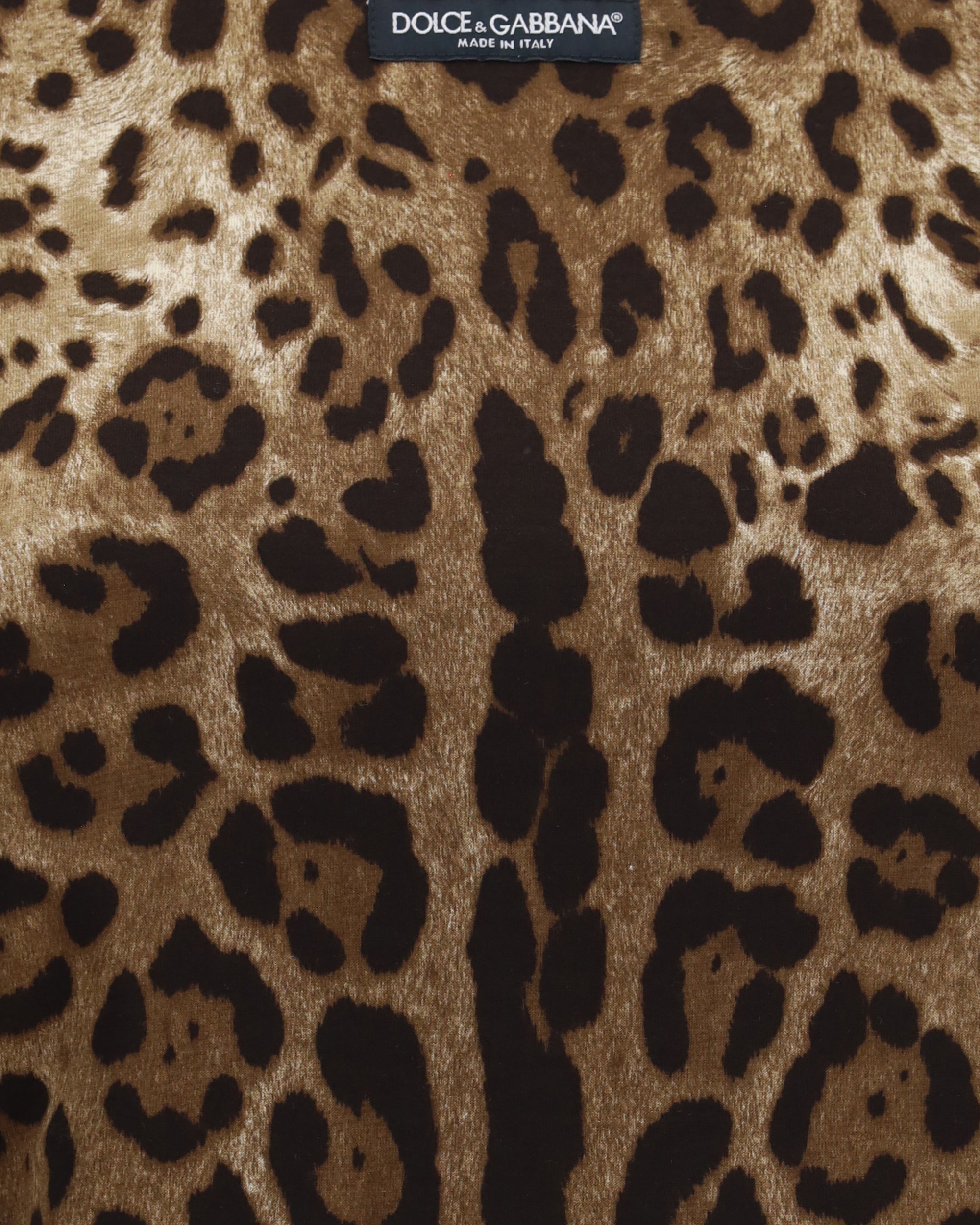 Dolce & Gabbana Leopard-Print Cropped T-Shirt