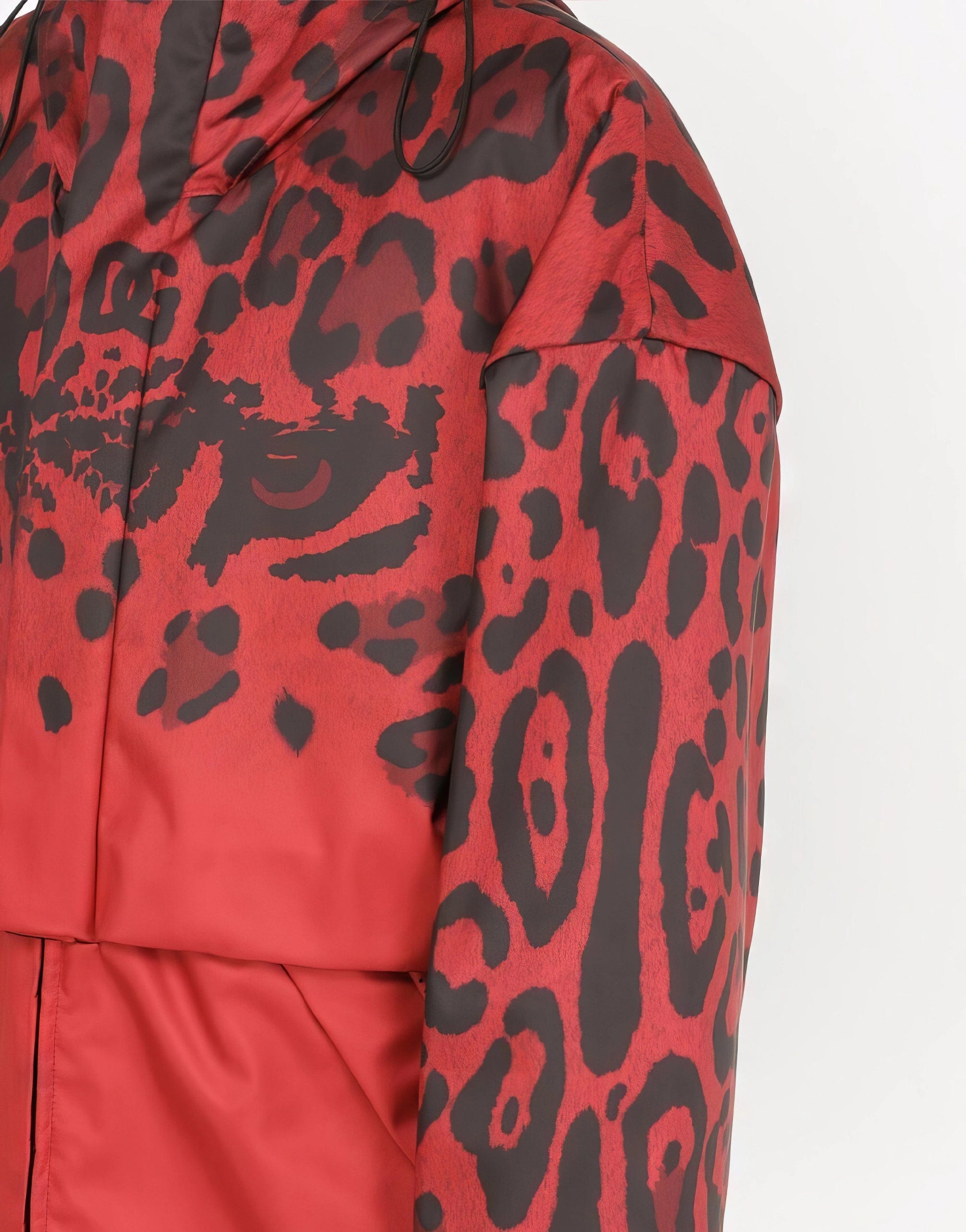 Dolce & Gabbana Leopard-Print Hooded Jacket