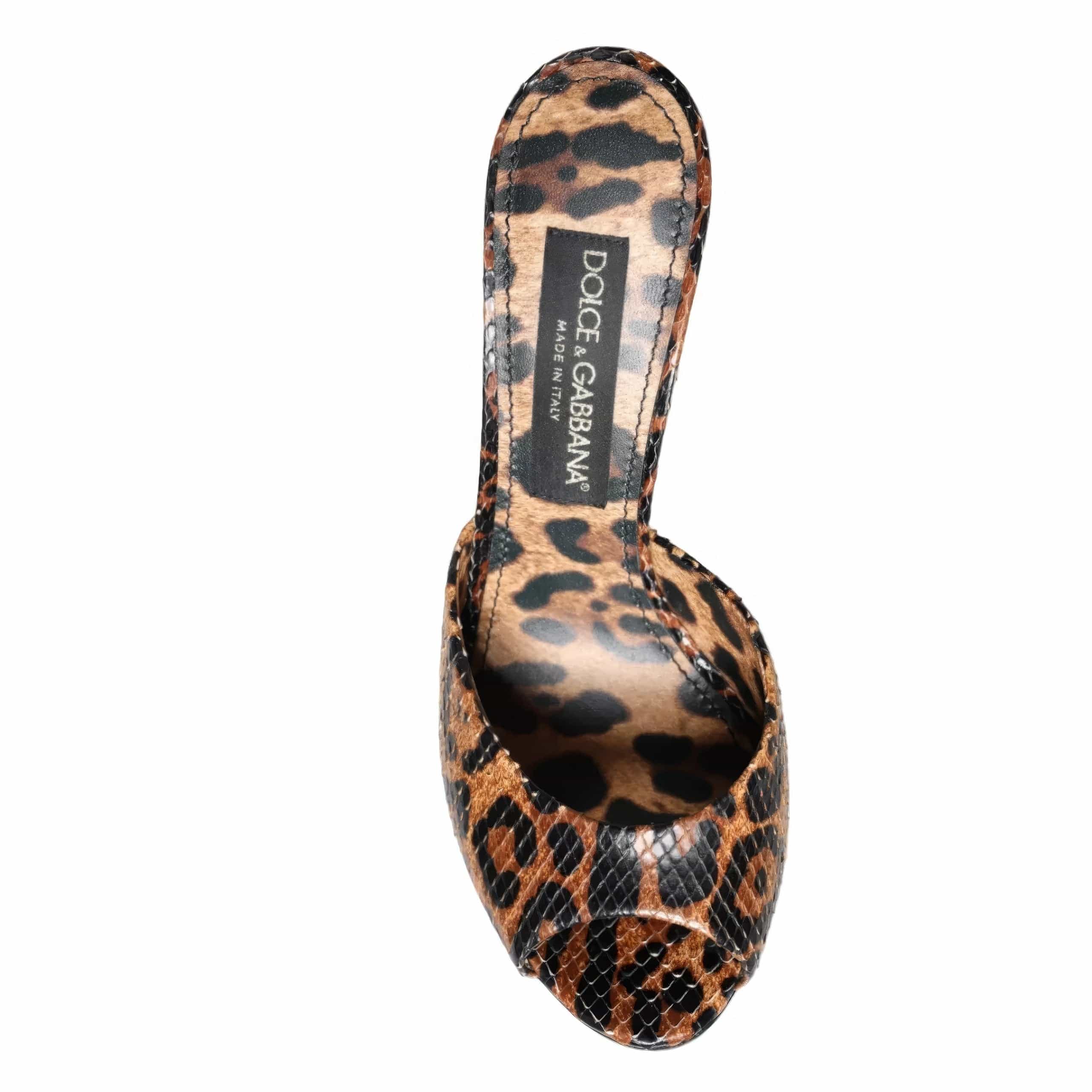 Dolce & Gabbana Leopard Print Mules