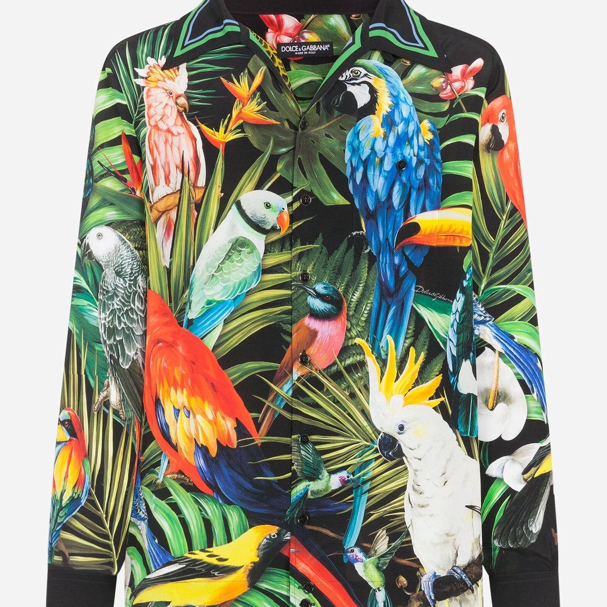 dolce-gabbana-parrot-print-