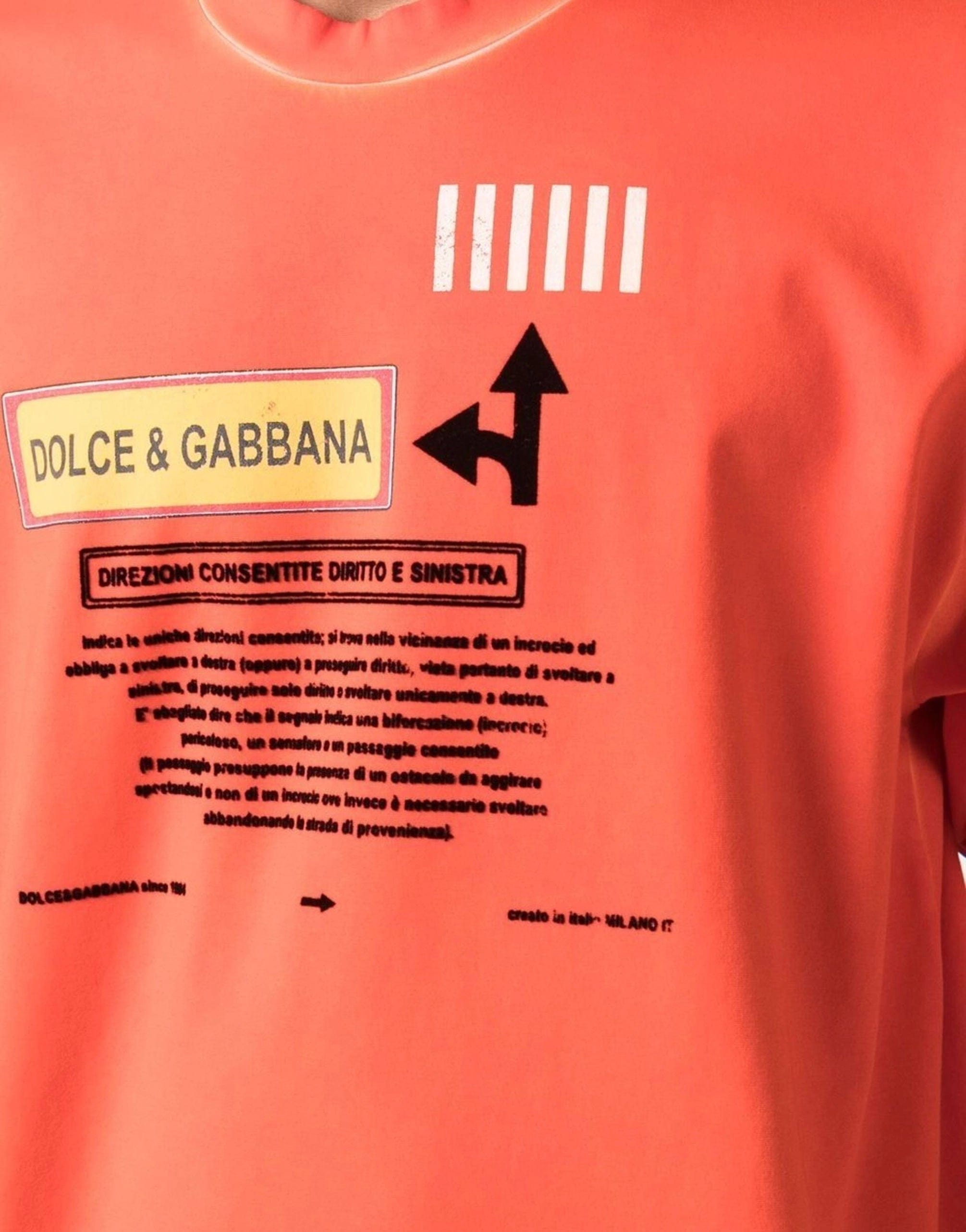 Dolce & Gabbana Printed Cotton T-Shirt In Multicolor