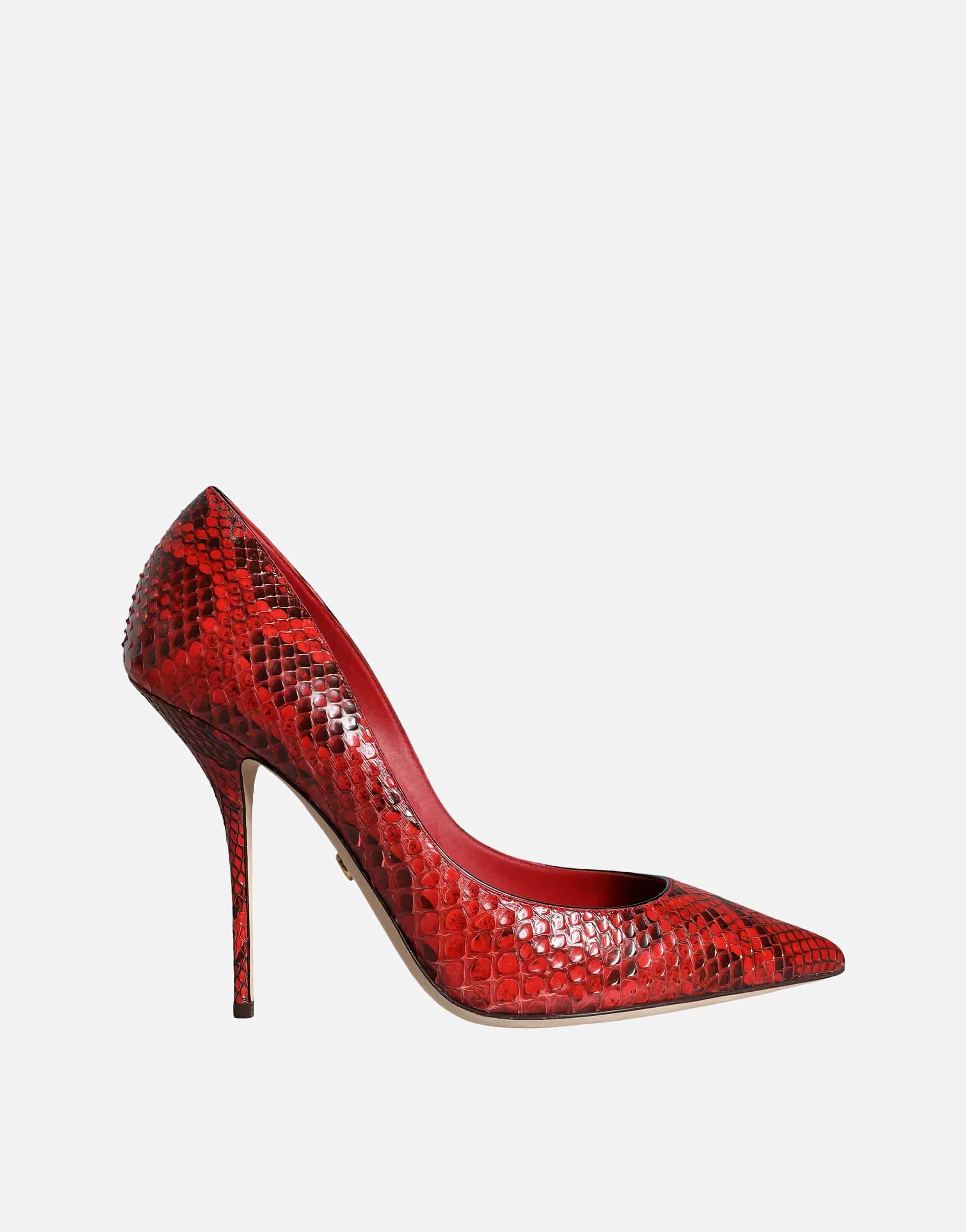 Dolce & Gabbana Python Leather Pumps