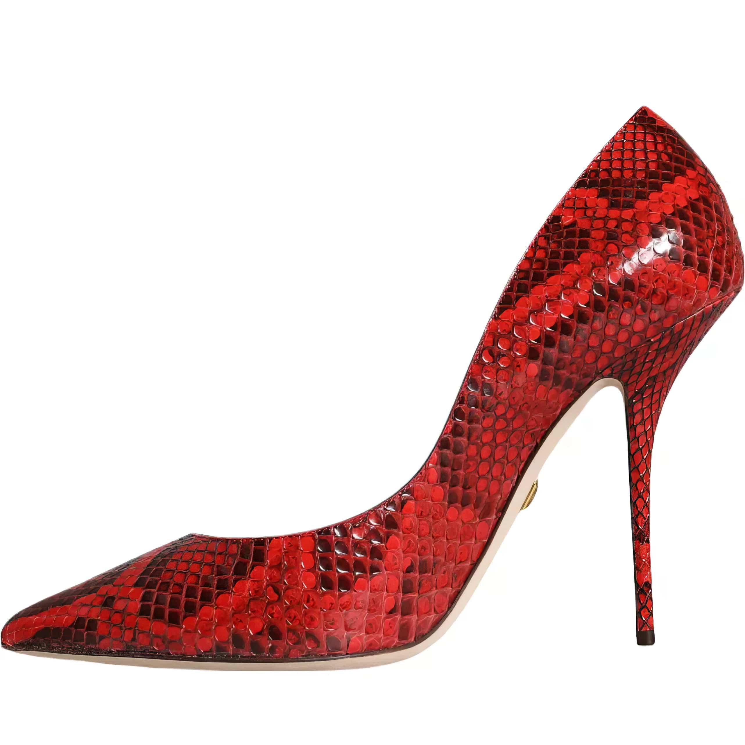 Dolce & Gabbana Python Leather Pumps