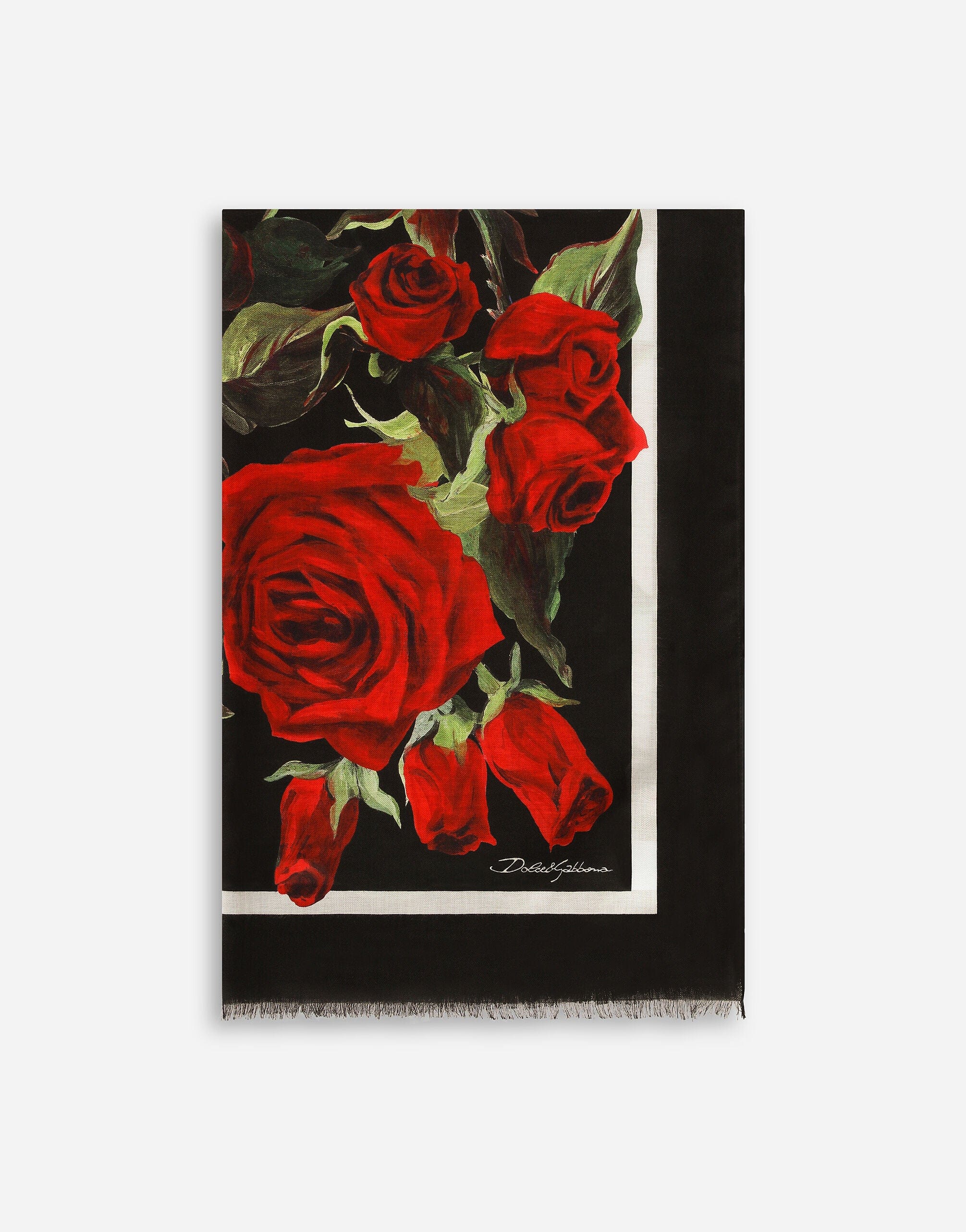 Dolce & Gabbana Rose-Print Scarf