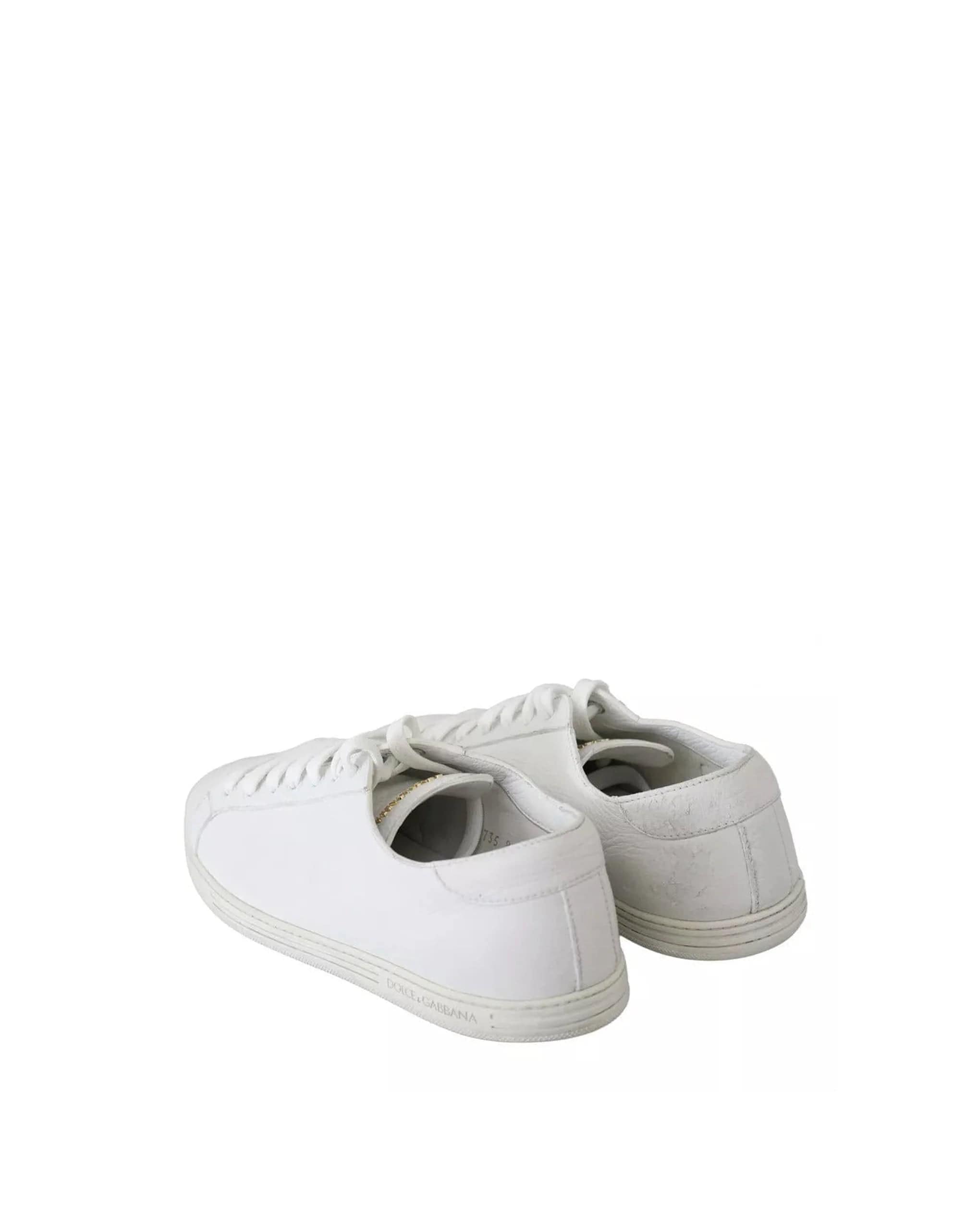 Dolce & Gabbana Saint Tropez Lace Up Sneakers