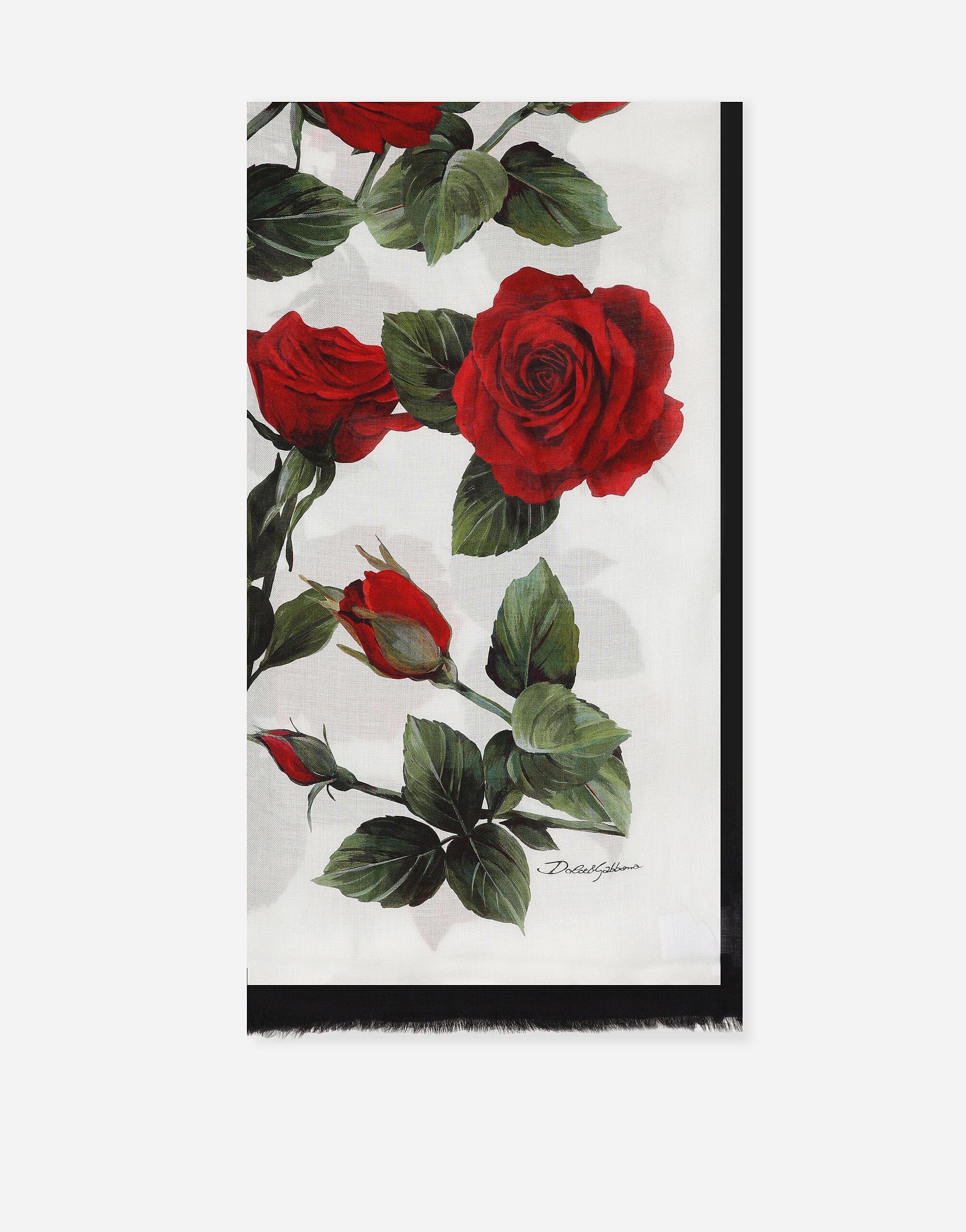 Dolce & Gabbana Silk Scarf With Rose Print