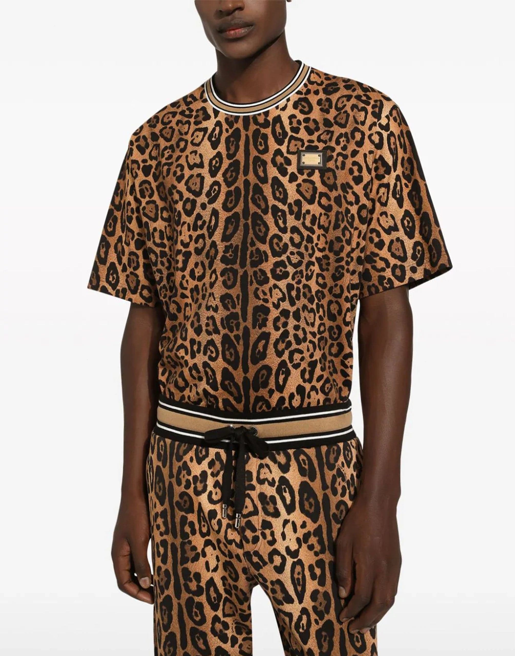 Dolce & Gabbana T-Shirt With Leopard-Print Crespo