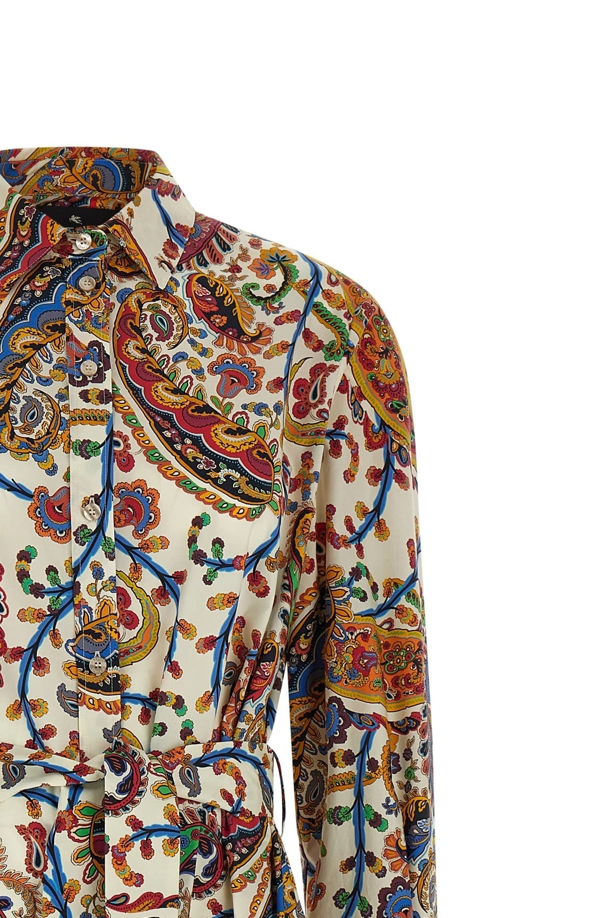 Etro Etro Paisley Foliage Midi Dress