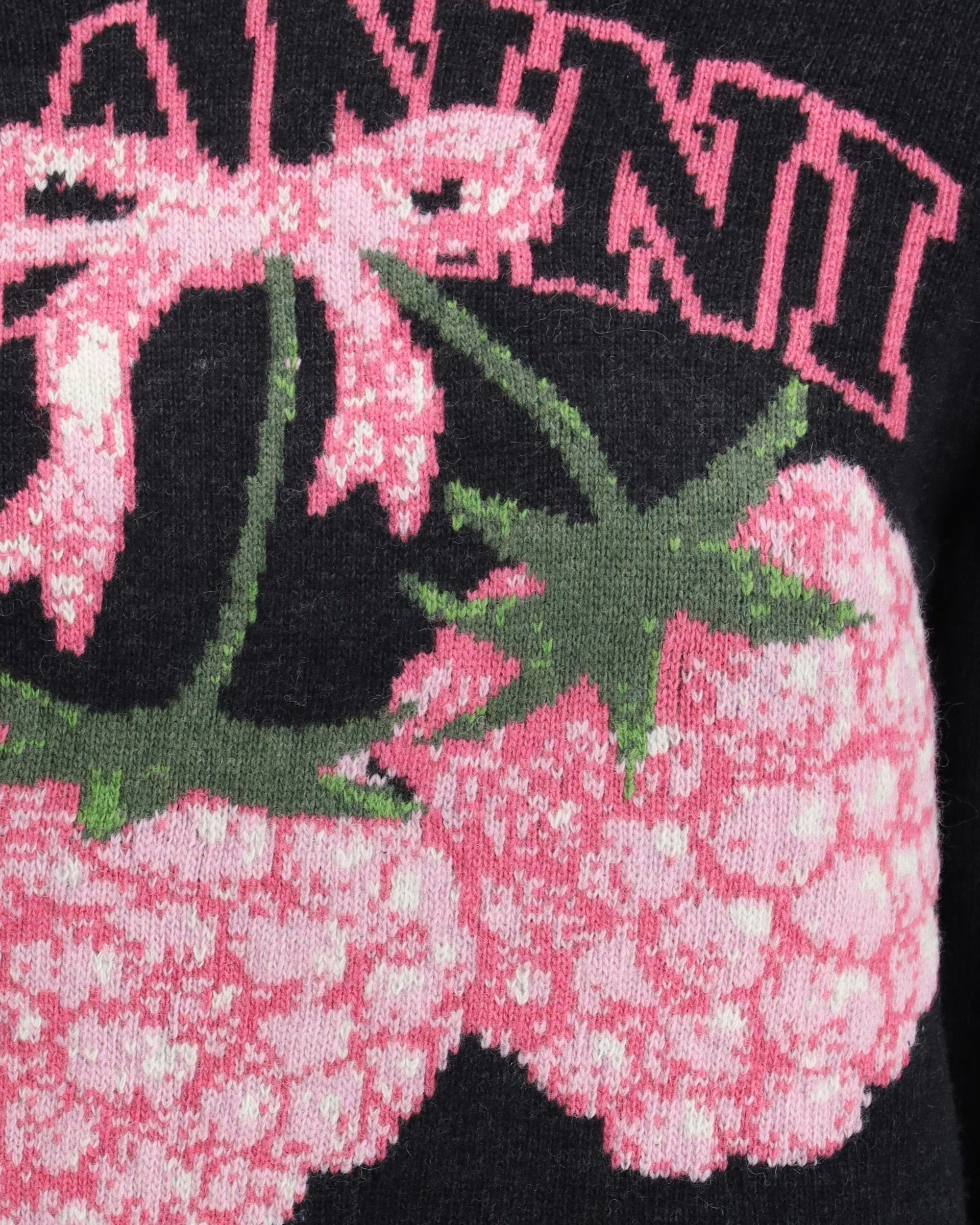 Ganni Raspberry Graphic Detail Crewneck Sweater