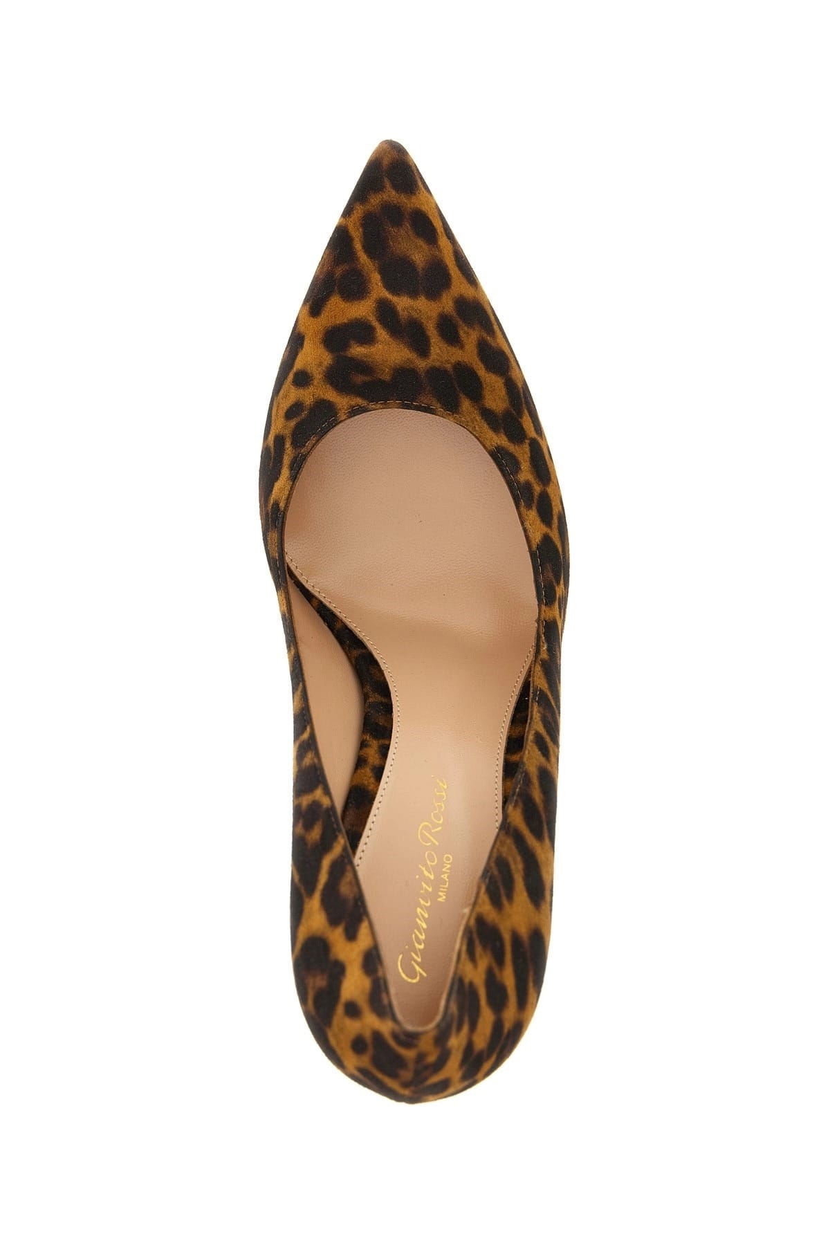 Gianvito Rossi Gianvito Rossi Multicolor Animalier Pumps