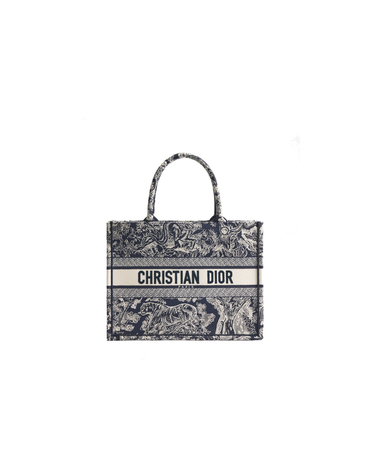 Dior Book Tote