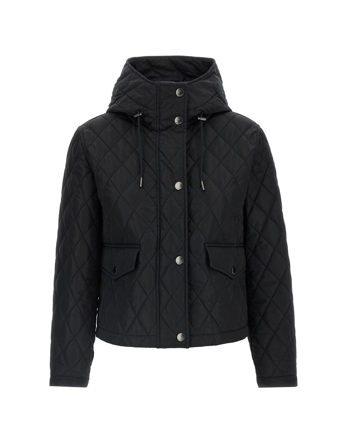 Burberry Pembroke Jacket
