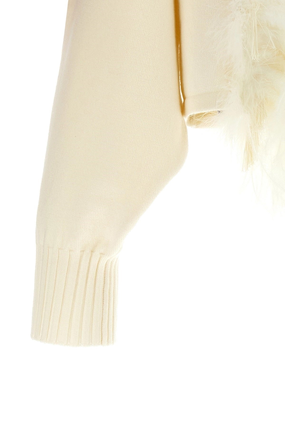 Alberta Ferretti Feather Cropped Sweater