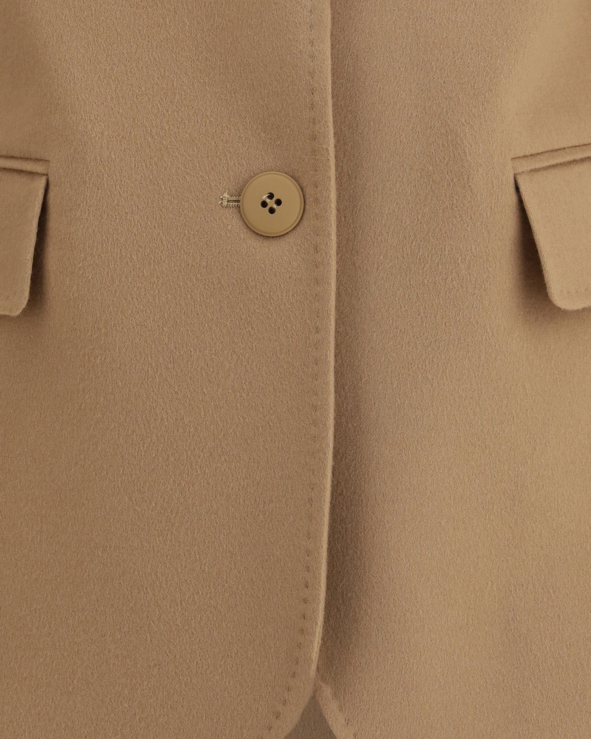 Max Mara Folgore Jacket