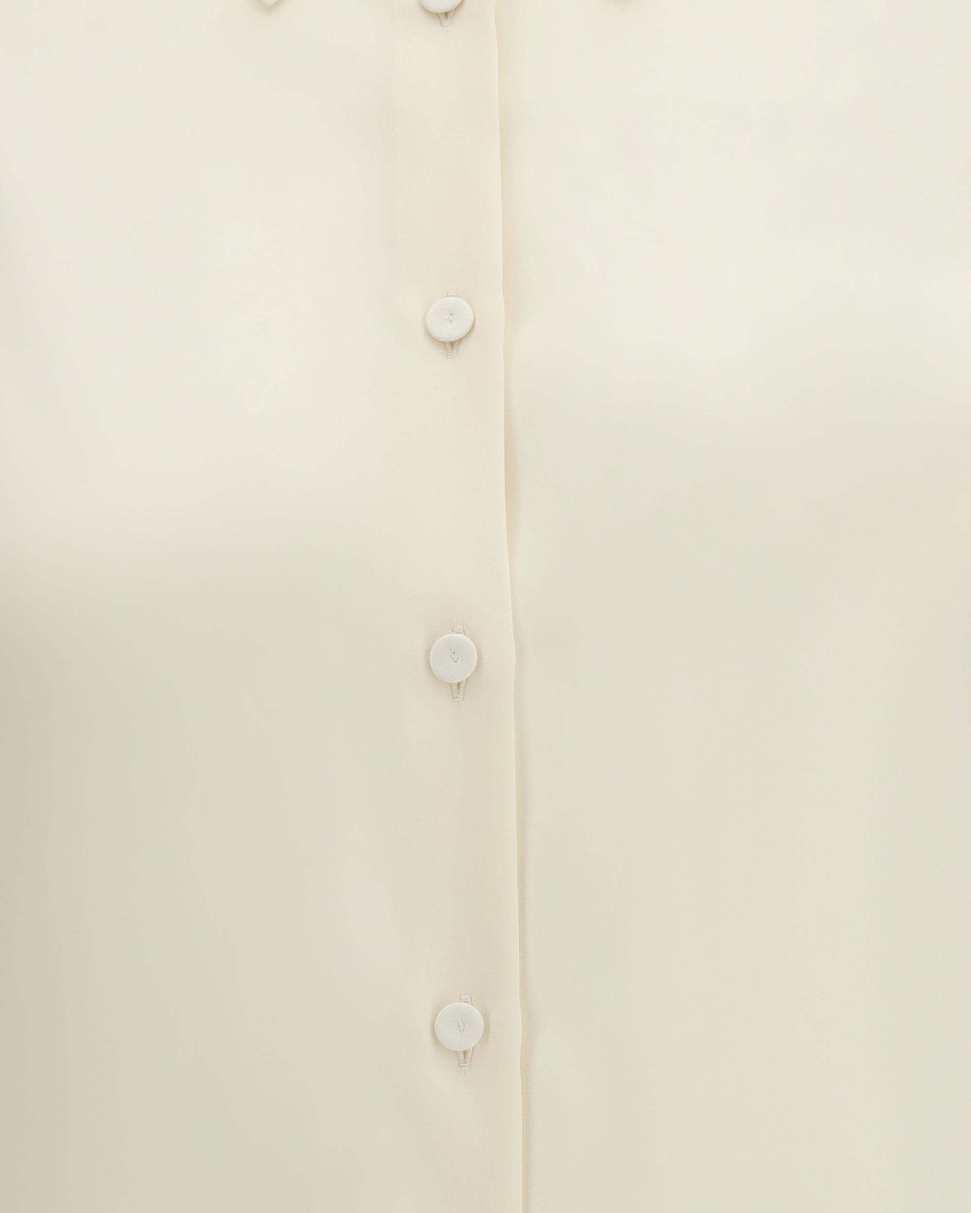 Max Mara Pure Mxpvoliera Silk Long Sleeved Shirt