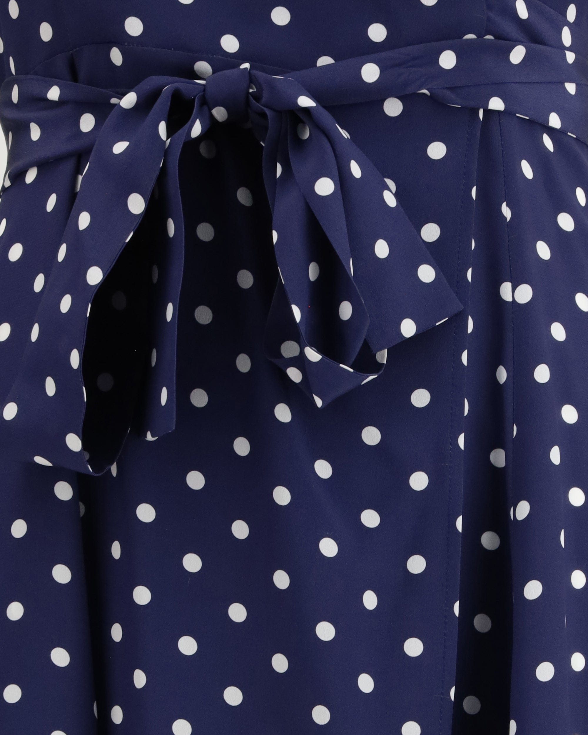 P.A.R.O.S.H. Polka-Dot Silk Maxi Dress