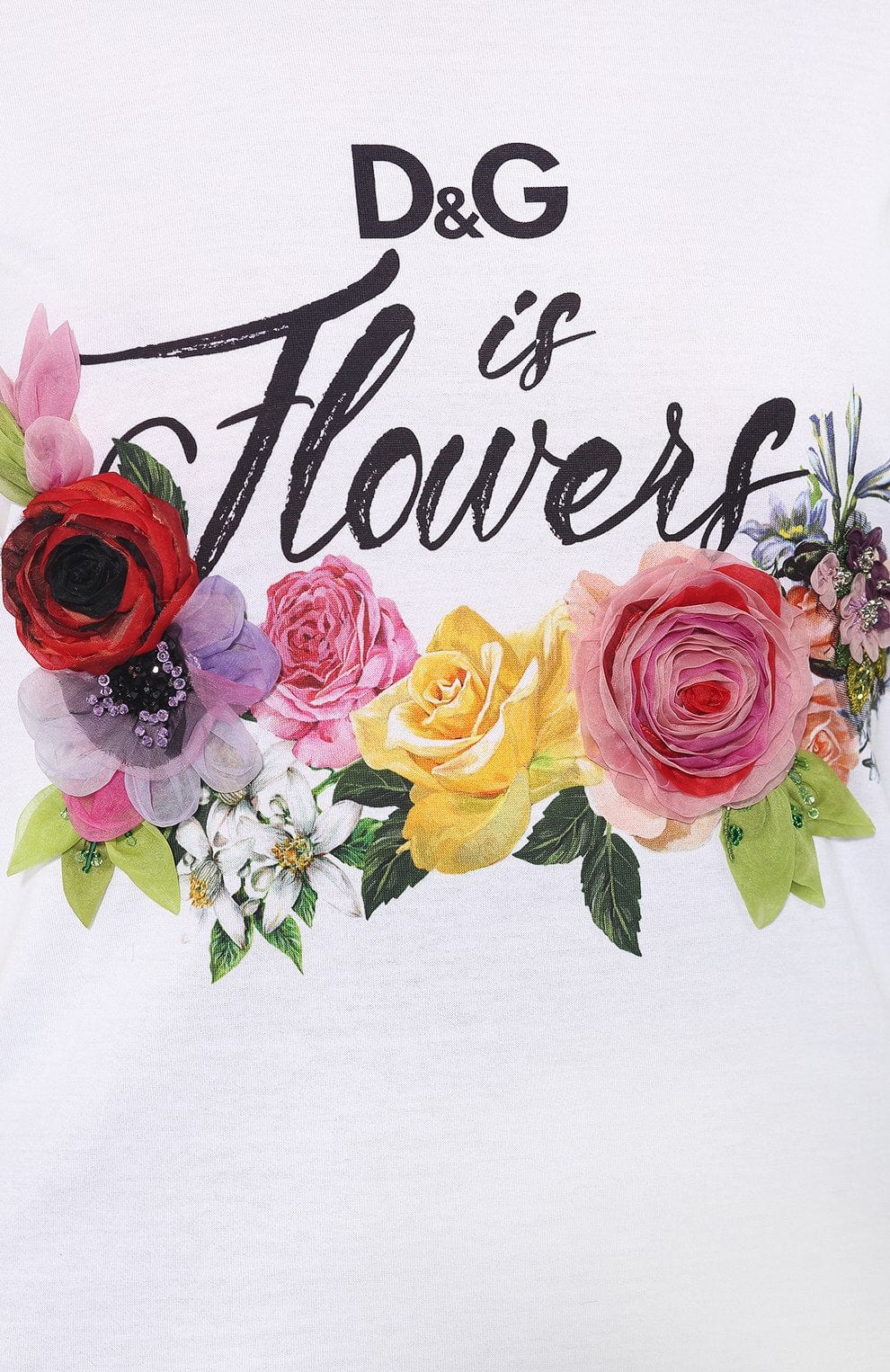 Dolce & Gabbana Floral Appliquéd T-Shirt